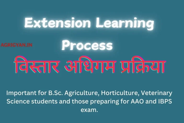 Extension Learning Process
