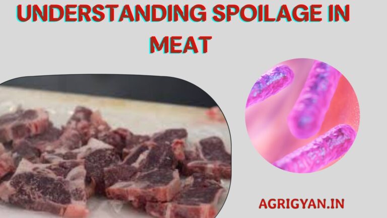 Meat spoilage