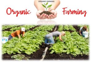 organic-farming-book-pdf