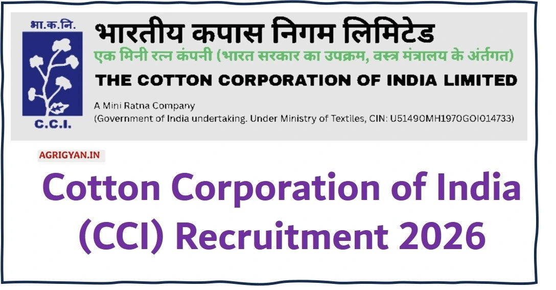 CCI Recruitment 2026: MT Marketing & Jr. Commercial Executive - Vacancies, Syllabus PDF 1 CCI Recruitment 2026: MT Marketing & Jr. Commercial Executive – Vacancies, Syllabus PDF