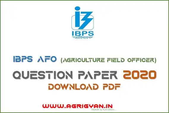 IBPS AFO Question Paper PDF 2020 1 IBPS AFO Question Paper 2020 PDF