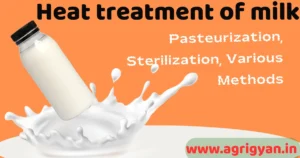 Heat treatment of milk