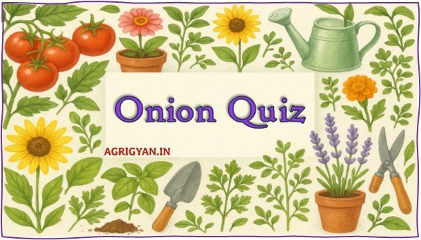Visual representation of a onion-themed quiz, focusing on agricultural knowledge and practices related to onion farming.