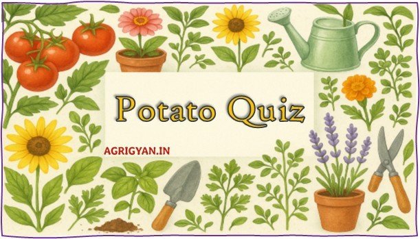 Visual representation of a potato-themed quiz, focusing on agricultural knowledge and practices related to potato farming.